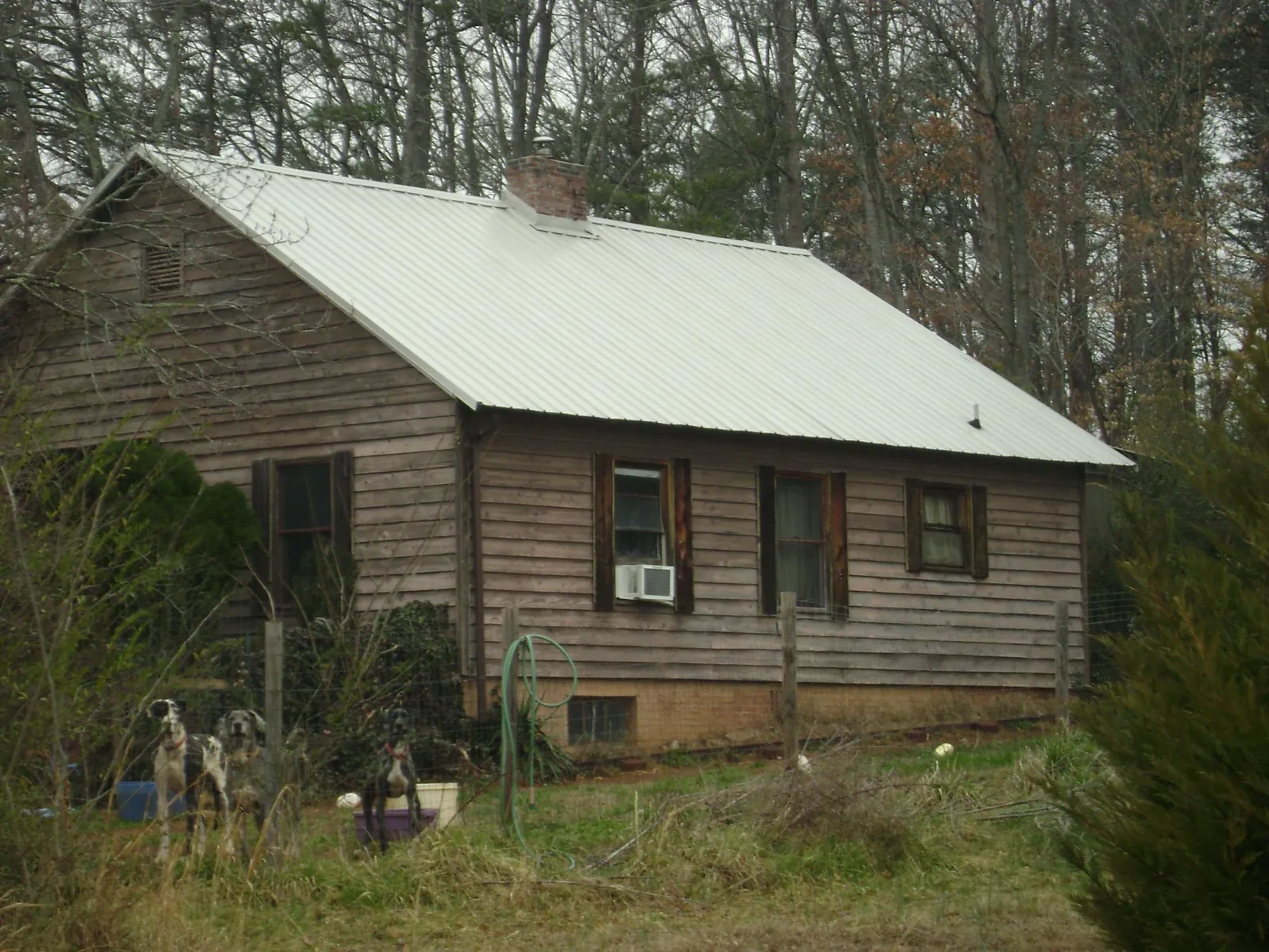 White metal roof on an old wood sided farmhouse, from a Metal Roof Installation job in Westfield Center